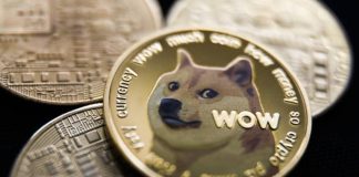 Dogecoin Worth Will Rally Earlier than It Crashes, However What’s The Goal?