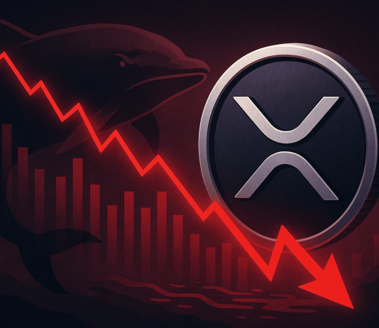 Hypothesis Rises Round XRP After MoonPay Buy and Cboe Greenlight for New Spot ETF Hypothesis Rises Round XRP After MoonPay Buy and Cboe Greenlight for New Spot ETF