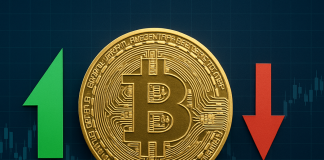 Bitcoin Is Neither In A Bull Nor Bear Market: Skilled Explains The Setup