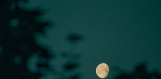 Bitcoin Headed For $200 Trillion? CEO Makes Daring Prediction