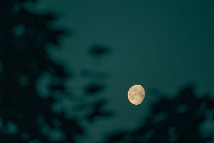 Bitcoin Headed For $200 Trillion? CEO Makes Daring Prediction