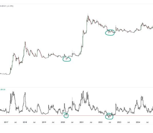 Dogecoin Hits Uncommon Weekly RSI Stage Seen Solely Four Occasions In 11 Years Dogecoin Hits Uncommon Weekly RSI Stage Seen Solely Four Occasions In 11 Years