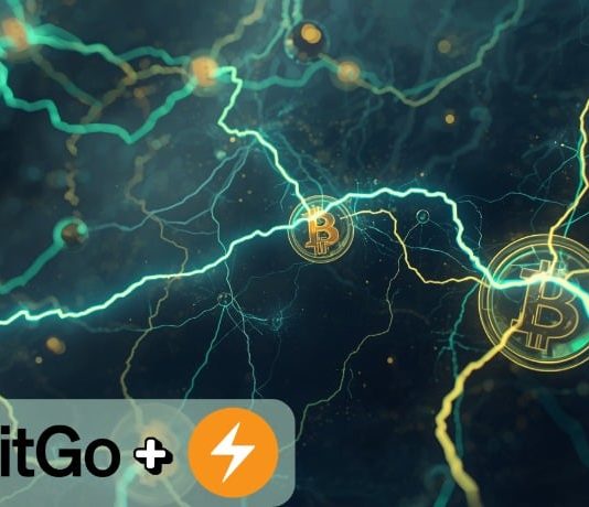 BitGo Companions with Voltage to Carry Lightning Community to Institutional Purchasers