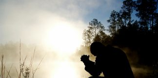 Did Crypto Buyers Cease Believing In The 4-Yr Cycle? Analyst Weighs In