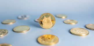 Dogecoin Holds The Flooring, However Momentum Says In any other case — A Crucial Standoff Unfolds