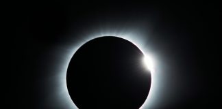 Whale Inflows Dampen XRP ETF Optimism As Promoting Strain Persists