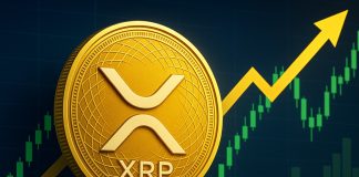 Skilled Predicts The Most Lifelike Timeframe For XRP Worth To Attain $100