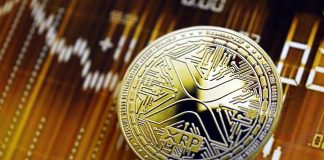 XRP To $1,000? Korean Researcher Lays Out 10-Yr Roadmap