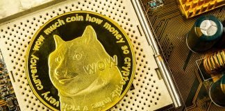 The Dogecoin Cycle Fractal That Reveals The place The Value Is Headed Subsequent