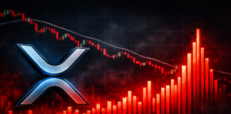 XRP Alternate Inflows Spike To Finish 2025: Will Value Decline Deepen?