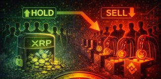 XRP Promoting Strain Returns: Traders Shift From Holding to Distribution