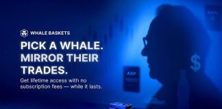 Crypto.com Introduces Whale Baskets – A New Technique to Mirror Legendary Traders With One Faucet