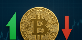 Folks Are Not Prepared For Bitcoin; Analyst Reveals What’s Coming Subsequent Folks Are Not Prepared For Bitcoin; Analyst Reveals What’s Coming Subsequent