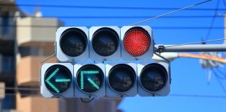 Crypto’s Massive Cash Indicators Change: BTC Holders Pause, ETH Whales Purchase