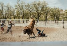 $748 Million Bitcoin Shopping for Spree Sparks Bullish Momentum $748 Million Bitcoin Shopping for Spree Sparks Bullish Momentum