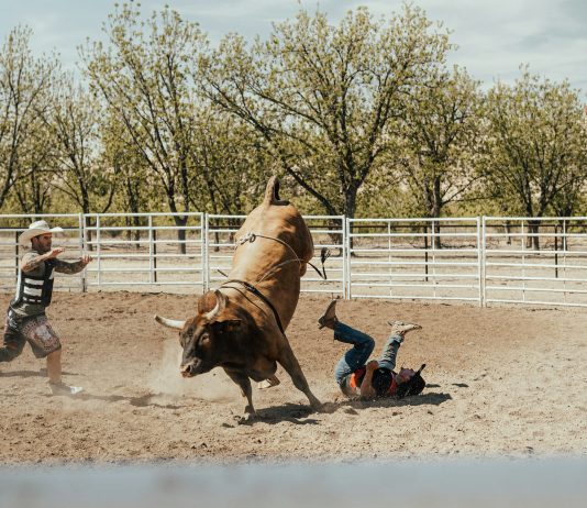 $748 Million Bitcoin Shopping for Spree Sparks Bullish Momentum $748 Million Bitcoin Shopping for Spree Sparks Bullish Momentum