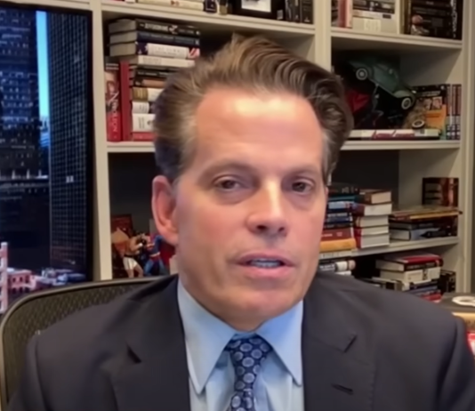 Scaramucci Picks His Prime Three Crypto Altcoins As Fee-Minimize Tailwinds Construct
