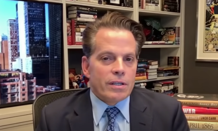 Scaramucci Picks His Prime Three Crypto Altcoins As Fee-Minimize Tailwinds Construct