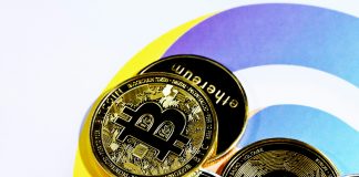 Bitcoin Dominance Grows As Altcoins Submit One other Shedding Yr: Analyst Bitcoin Dominance Grows As Altcoins Submit One other Shedding Yr: Analyst