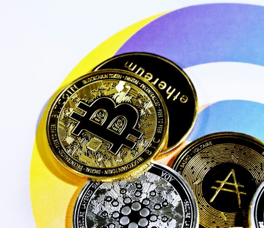Bitcoin Dominance Grows As Altcoins Submit One other Shedding Yr: Analyst