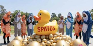 Patos Meme Coin Confirms Triple CEX Itemizing on AzBit, BitStorage, & Dex-Commerce; Ethereum Bridge Alerts Possible Uniswap Debut as Presale Momentum Builds