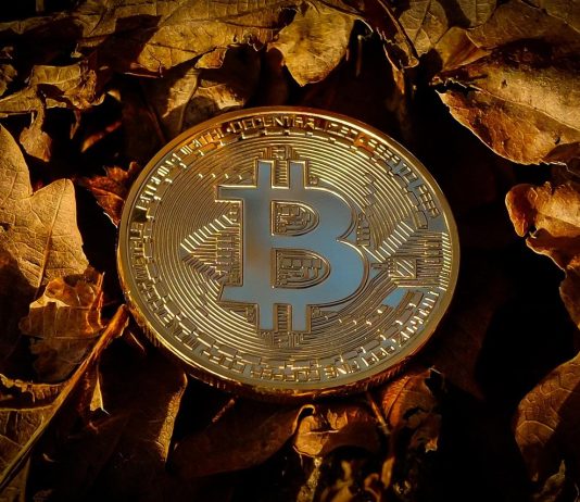 Bitcoin Emerges As A Hedge Amid Rising World Geopolitical Tensions