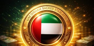 RAKBank Receives Approval to Launch UAE Dirham-Backed Stablecoin