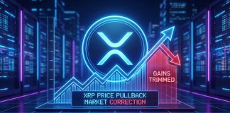 XRP Worth Provides Again Upside, Market Watches Help Intently