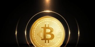 Bitcoin Maintains Mid-$90ok Ranges: Attainable Worth Targets — Analyst