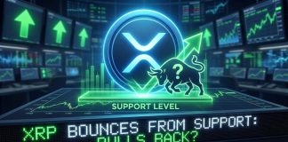 XRP Value Finds Its Footing at Assist, Bulls Check Their Energy