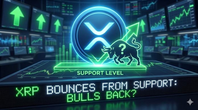 XRP Value Finds Its Footing at Assist, Bulls Check Their Energy