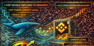 XRP Whale Inflows To Binance Hit Their Lowest Degree Since 2021: Accumulation Habits?
