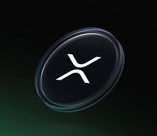 XRP Poised To Transfer On Its Personal, Separate From Bitcoin: CEO