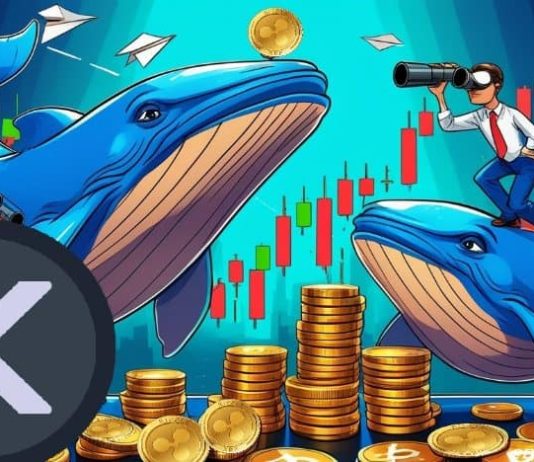 XRP Worth Prediction: Whales Scoop Up 50M XRP Close to $2—Breakout Setup or One other Consolidation Entice?