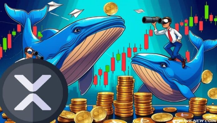XRP Worth Prediction: Whales Scoop Up 50M XRP Close to $2—Breakout Setup or One other Consolidation Entice?