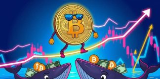Bitcoin (BTC) Worth Outlook: Whale Promoting Meets Trendline Help as BTC Consolidates Close to $95,000 Bitcoin (BTC) Worth Outlook: Whale Promoting Meets Trendline Help as BTC Consolidates Close to $95,000