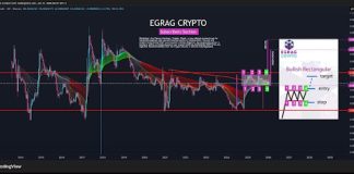 XRP Completes ‘Tremendous Guppy Compression’ Towards Bitcoin, Subsequent Goal Emerges