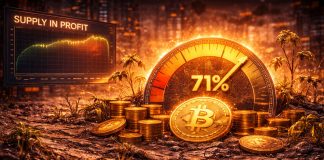 Bitcoin Provide In Revenue Stalls At 71%: Nonetheless Not Sufficient For A Sustainable Restoration