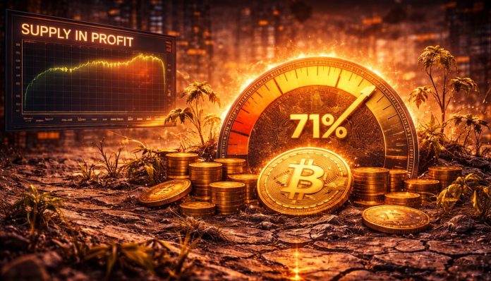 Bitcoin Provide In Revenue Stalls At 71%: Nonetheless Not Sufficient For A Sustainable Restoration