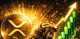 Knowledgeable Forecasts $5 XRP Worth As Alternate Balances Plummet By 57%