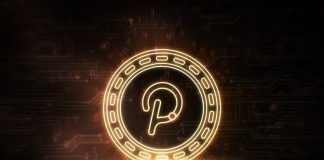 Why 120,000 Wallets Selected Digitap ($TAP) Over $4.83 UNI and $1.89 DOT: Finest Crypto to Purchase
