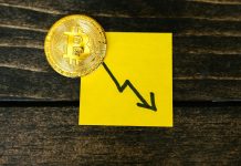 Report Ache: Bitcoin Traders Endure $4.5B Loss, Most In three Years