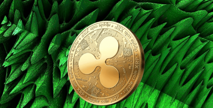 One thing Massive Is Brewing In XRP DeFi—And 91 Million Tokens Inform The Story
