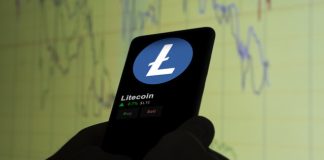 Why Litecoin Value Going To $2,000 Is Not A Fantasy, However Market Cap Math