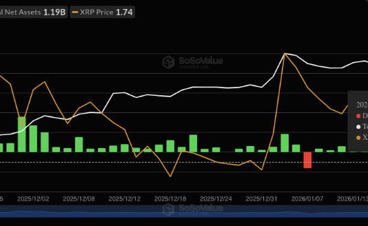Rising Above The Ashes: XRP ETFs Set New Report Regardless of Market Crash