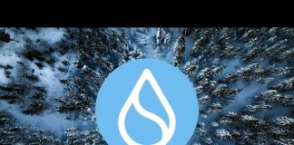 SUI Slides Into Key Fib Assist — Is the Downtrend Far From Over?