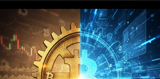 What Crypto to Make investments In Proper Now as Market Situations Shift Towards Bitcoin Infrastructure