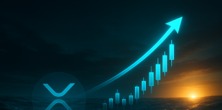 XRP Enters ‘Washout Zone,’ Then Targets $30, Crypto Analyst Says XRP Enters ‘Washout Zone,’ Then Targets $30, Crypto Analyst Says