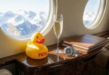 Past the Mempool: 7 CEXs Affirm Patos Token in Energy Play