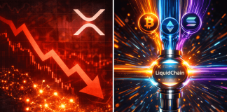 XRP Wallets Surge Regardless of 49% Worth Correction; $LIQUID Enters the Fray XRP Wallets Surge Regardless of 49% Worth Correction; $LIQUID Enters the Fray